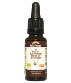 Biofloral No. 29 Star of Bethlehem