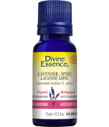 Divine Essence Spike Lavender Organic Essential Oil