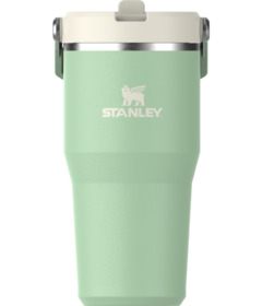 image of Stanley The IceFlow Flip Straw 2.0 Tumbler Pistachio with sku:338993