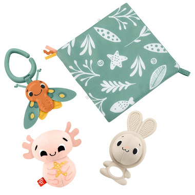 fisher price teether set