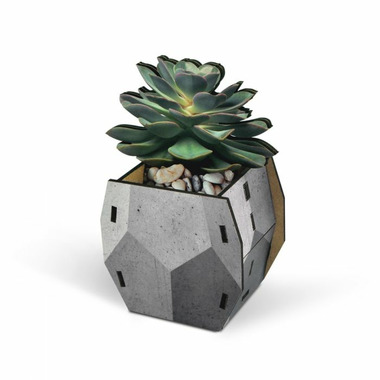 Fred Pop Plants Desk Caddy Echeveria Fred Pop Plants Desk Caddy Echeveria