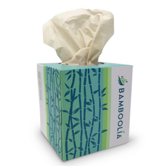 Household Essentials