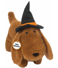 Douglas Halloweenie Dachshund Muzzle