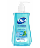 Dial Anti-Bacterial Hand Soap