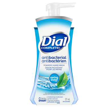 Buy Dial Complete Antibacterial Foaming Hand Wash at Well.ca | Free ...