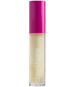 Cheekbone Healing Lip Oil