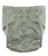 Current Tyed Clothing Reusable Swim Diaper Sage