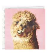 Hallmark Studio Ink Birthday Card Alpaca