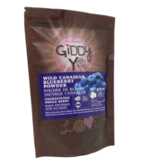 Giddy Yo Organic Raw Wild Blueberry Powder