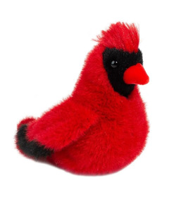 Douglas Carmine Cardinal