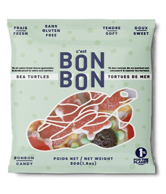 c'est BONBON Mini Sea Turtles