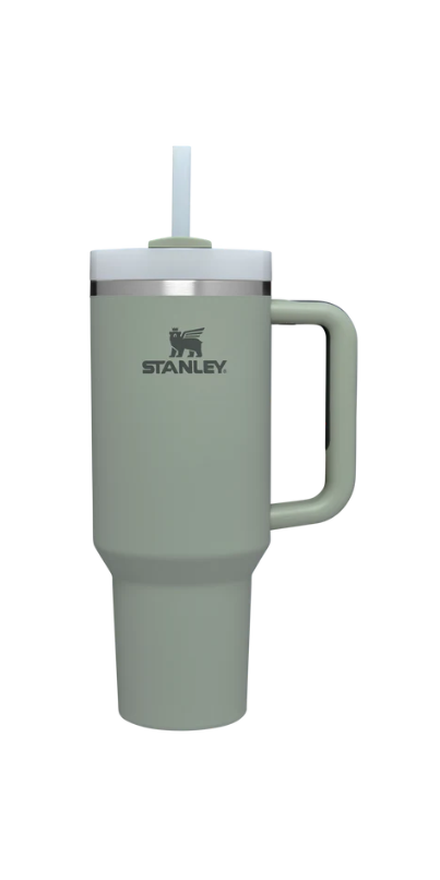 Buy Stanley The Quencher H2.O FlowState Tumbler Bay Leaf Soft Matte at ...