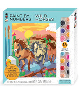 Bright Stripes iHeartArt Paint by Numbers Wild Horses