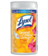 Lysol Disinfecting Wipes Brand New Day