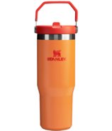 Stanley The IceFlow Flip Straw Tumbler Goldenrod