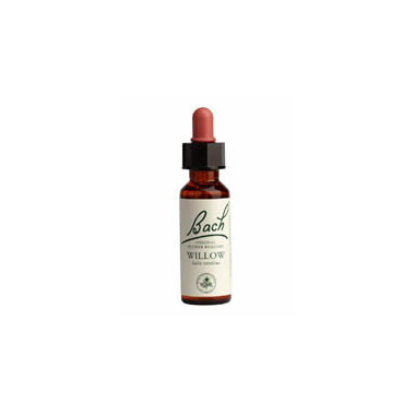 Bach Willow Flower Essence Bach Willow Flower Essence