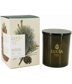 image of Lucia Soy Candle Douglas Pine with sku:335764