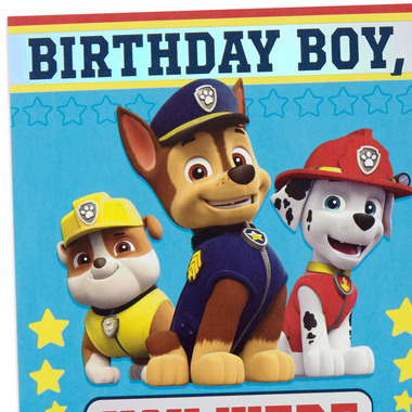 Buy Hallmark Paw Patrol Birthday Card For Boys Born Brave at Well.ca ...