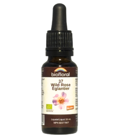 Biofloral No. 37 Wild Rose