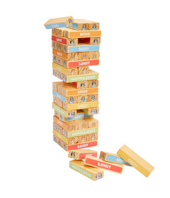 Bluey 8th Wonder Wooden Tumbling Tower