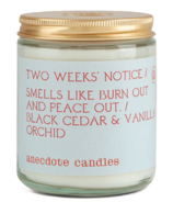 Anecdote Candles Glass Jar Candle Two Weeks Notice