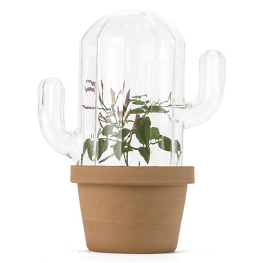 Kikkerland Cactus Planter Kikkerland Cactus Planter