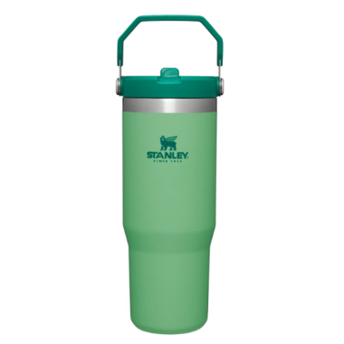 Buy Stanley The IceFlow Flip Straw Tumbler Jade at Well.ca | Free ...