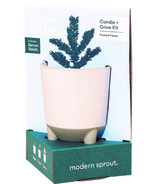 Modern Sprout Glow & Grow Candle Spruce Kit