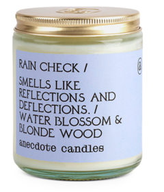 Anecdote Candles Rain Check Glass Jar Candle