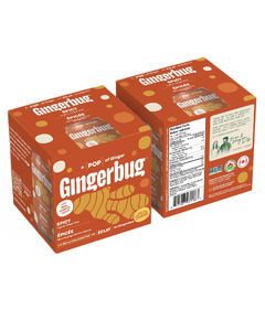 Gingerbug Organic Ginger Beer Spicy