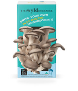 Stay Wyld Organics Ltd. Mushroom Kit Blue Oyster