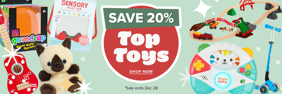 Save 20% on Top Toys