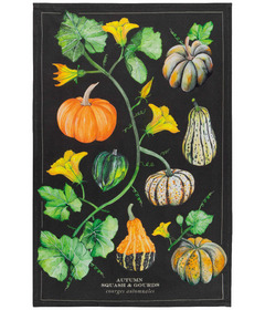 Now Designs By Danica Autumn Squash Dishtowel