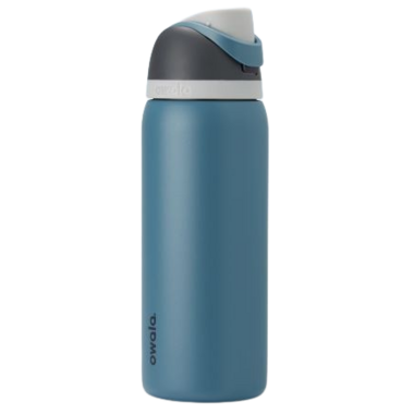 Buy Owala FreeSip Insulated Stainless Steel Water Bottle Neo Sage