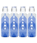 Karma Probiotic Water Blueberry Lemonade Bundle
