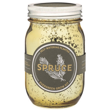 Buy Modern Sprout Garden Jar Spruce Pint from Canada at ...