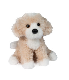 Douglas Darcy Goldendoodle