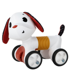 Tiny Love Tiny Rocker Follow Me Toy