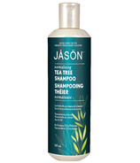 Shampooing normalisant pour le cuir chevelu senteur arbre à thé de Jason