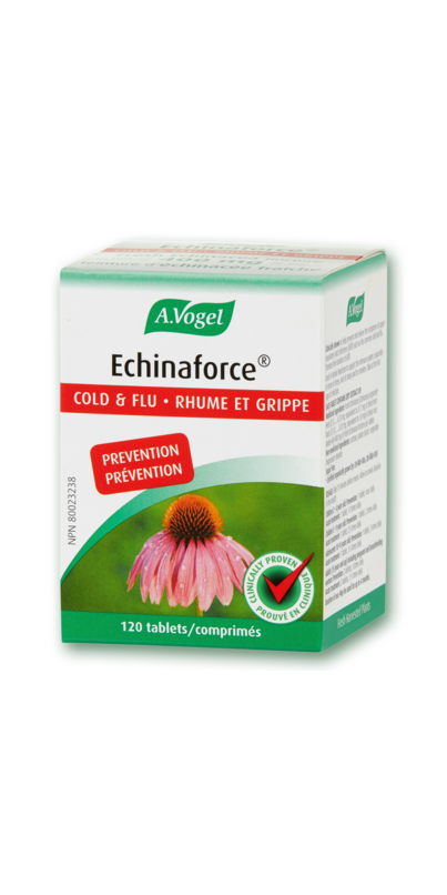 Buy A.Vogel Echinaforce Colds Tablets at Well.ca | Free Shipping $49 ...