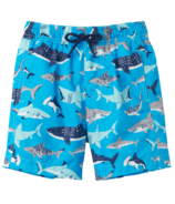 Hatley Shark School Swim Trunks