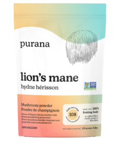Purana Lion's Mane 1:1 Powder