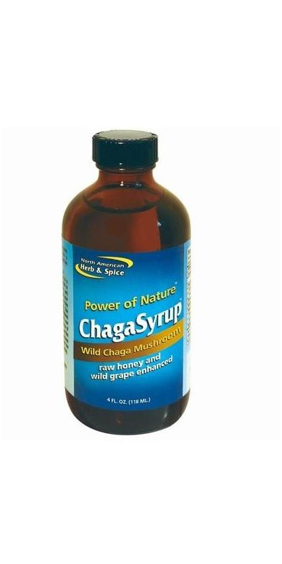 Buy North American Herb & Spice Chaga Syrup at Well.ca | Free Shipping ...