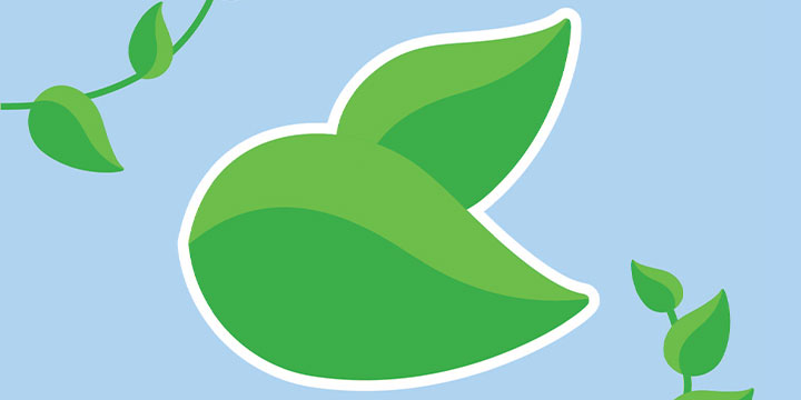 leaf
