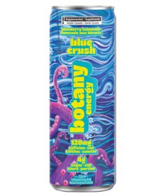 Collective Arts Botany Energy Drink Blueberry Lemonade Blue Crush