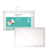 Babyworks Toddler Pillow with Bamboo Pillow Case