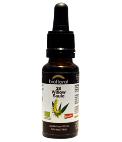 Biofloral No. 38 Willow