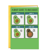 Hallmark Shoebox Funny Birthday Card Guide to Avocados