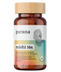 Purana Reishi 16:1 Extract