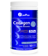 CanPrev Collagen Tendo Recover Powder